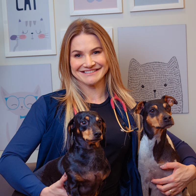 Dra. Maíra Scheid com dois cães no colo